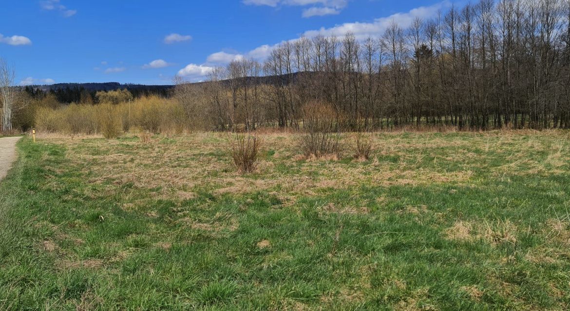 Działka budowlana Jelenia Góra – Maciejowa