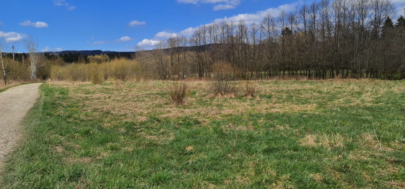 Działka budowlana Jelenia Góra – Maciejowa