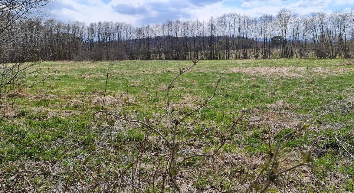 Działka budowlana Jelenia Góra – Maciejowa