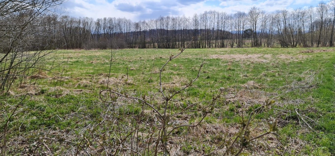 Działka budowlana Jelenia Góra – Maciejowa