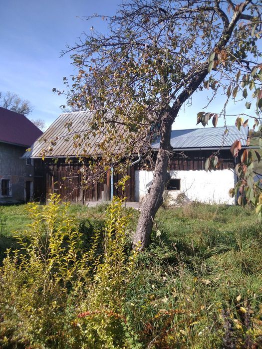 Dom na wsi w malowniczej lokalizacji.