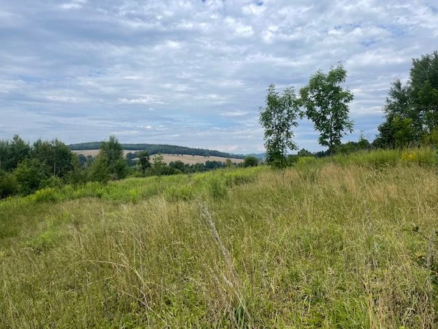 Działki budowlane w widokiem – Barcinek
