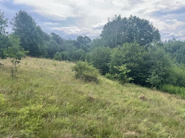 Działki budowlane w widokiem – Barcinek