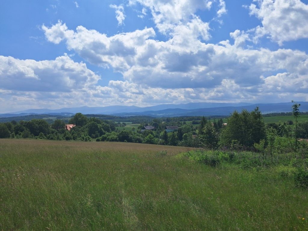 4,5 ha z domem i stodołą z pięknymi widokami.