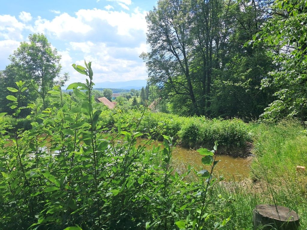 4,5 ha z domem i stodołą z pięknymi widokami.