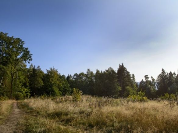 Działka budowlana w Staniszowie
