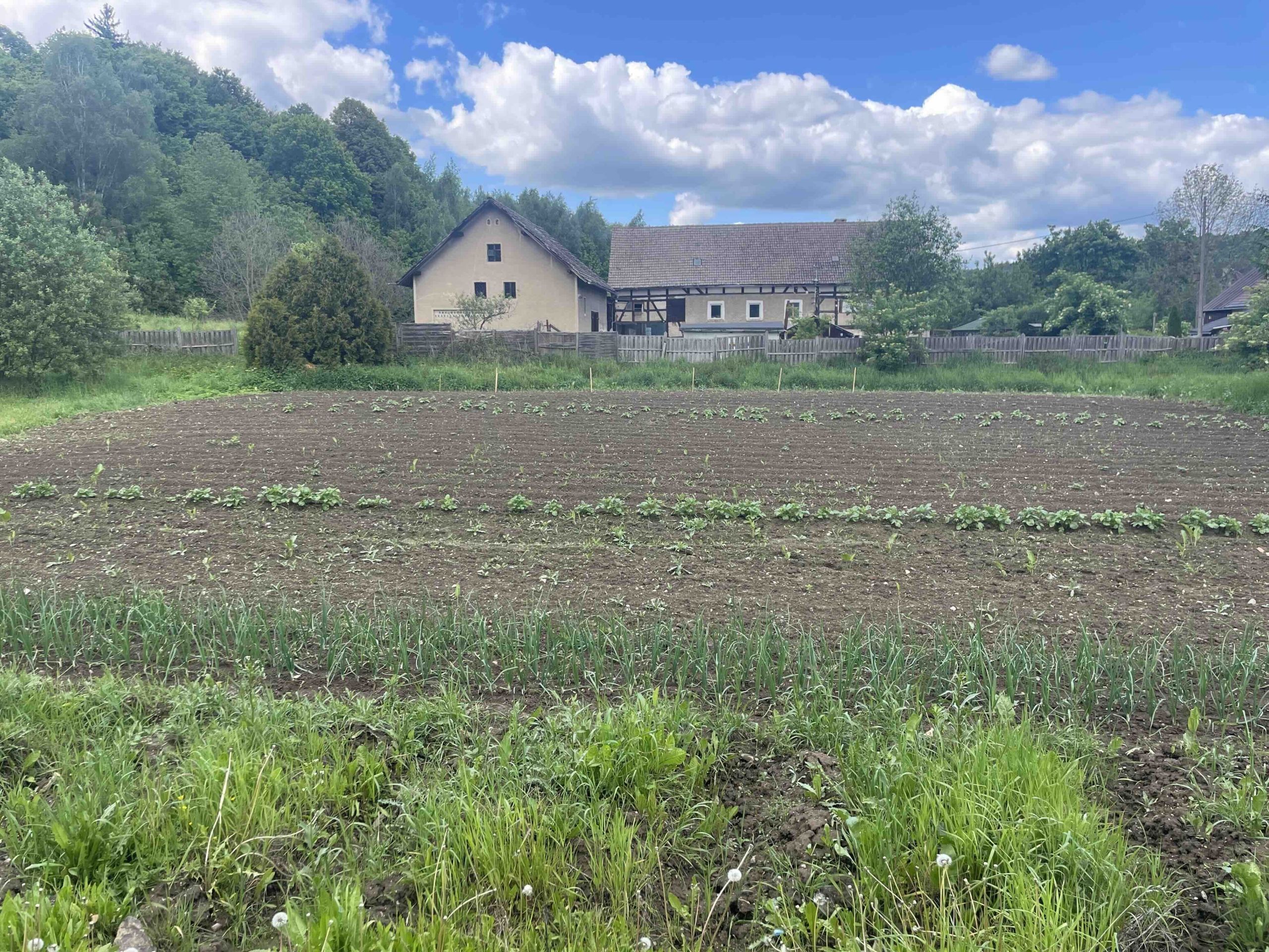 Działka przemysłowo-magazynowa w Czernicy, okolice Wlenia