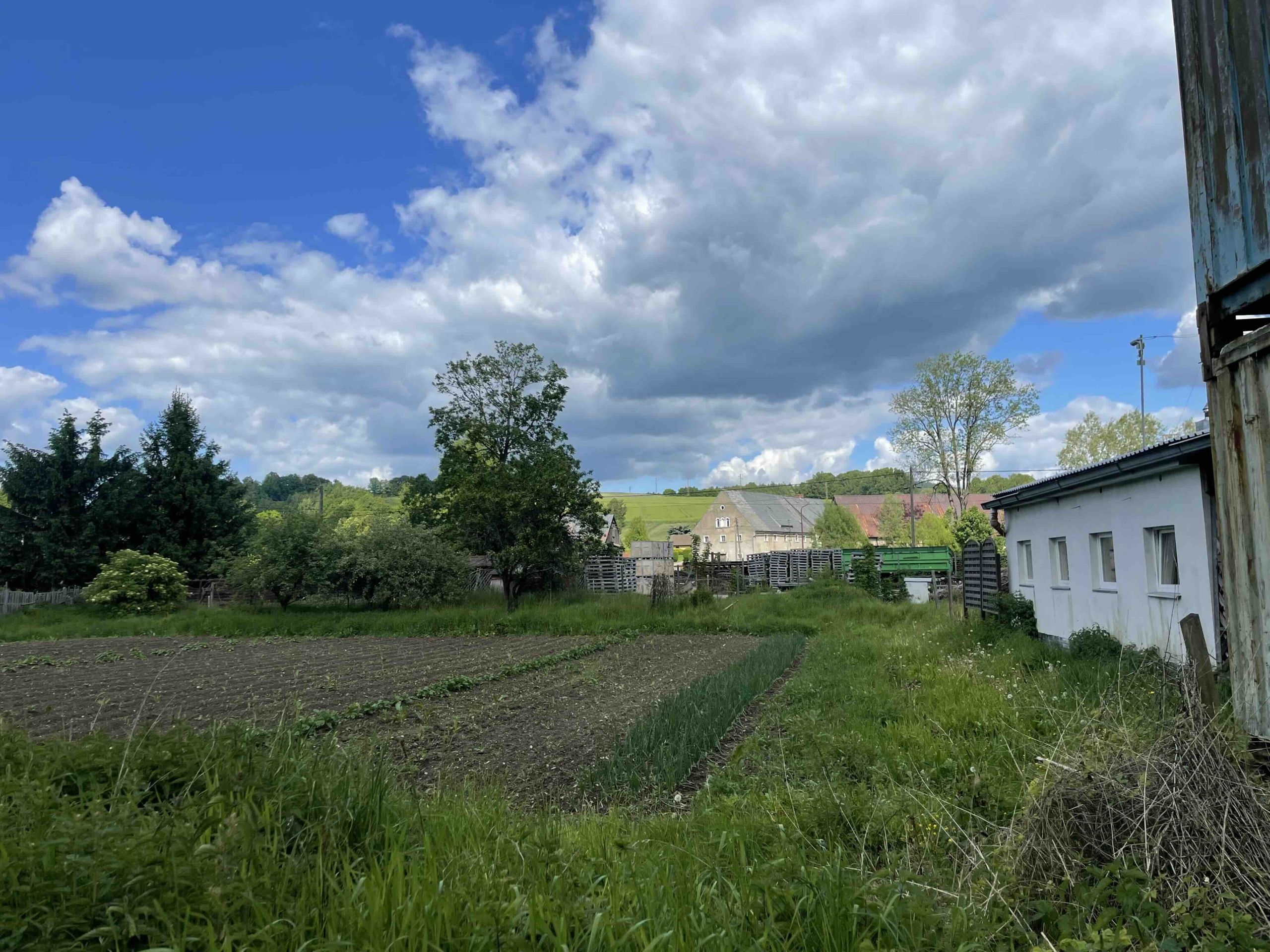 Działka przemysłowo-magazynowa w Czernicy, okolice Wlenia