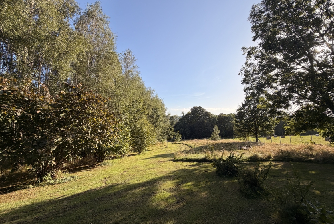 Wyremontowany dom 250 m² z dużą działką | Grudza